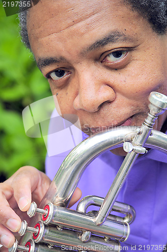 Image of Jazz musician.