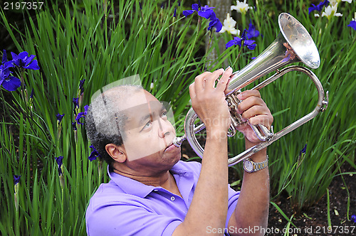 Image of Jazz musician.