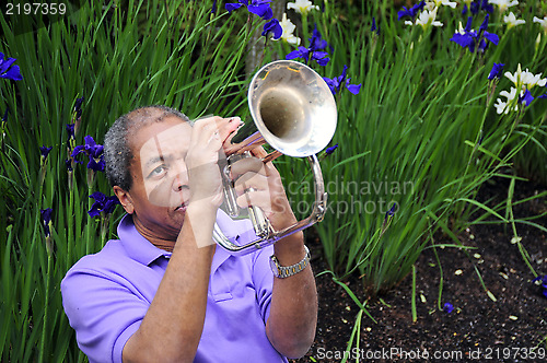 Image of Jazz musician