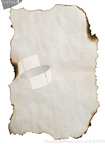 Image of burnt paper