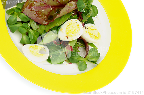 Image of Greens Salad