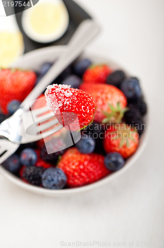 Image of custard pastry cream and berries