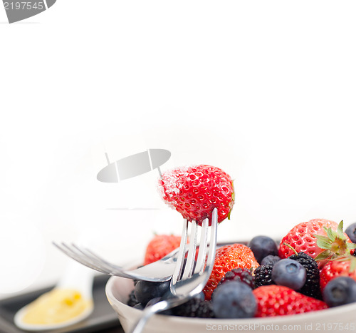 Image of custard pastry cream and berries