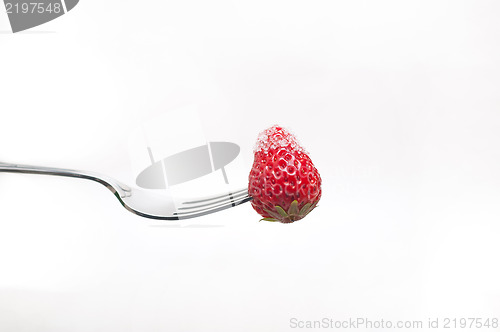 Image of srawberry on a fork isolated