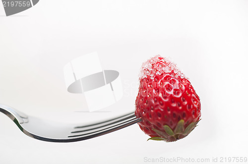 Image of srawberry on a fork isolated