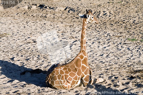 Image of Sitting in sand