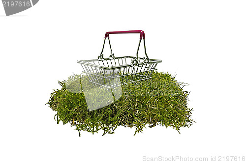 Image of Shopping basket on green moss