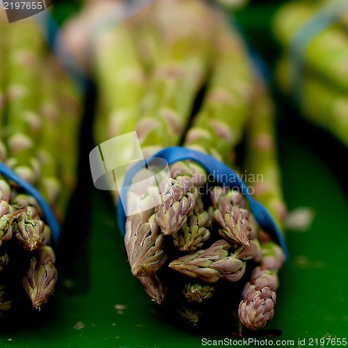 Image of fresh seasonal asparagus on market 