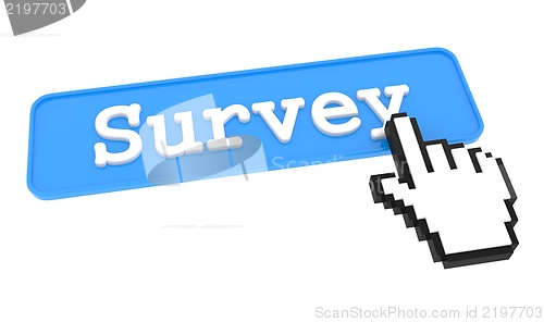 Image of Survey Button.
