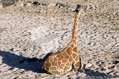 Image of Sitting in sand