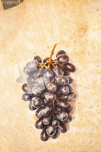 Image of bunch of grapes on old paper sheet