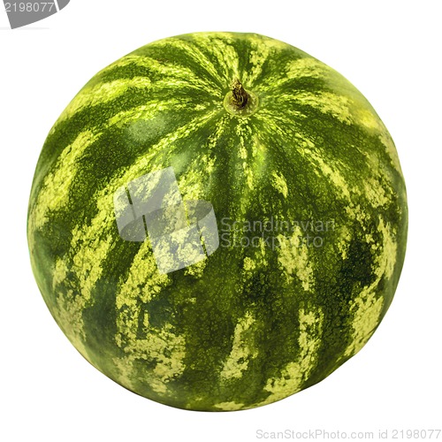 Image of isolated watermelon