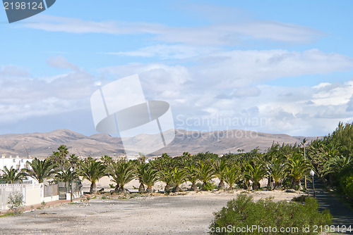 Image of Fuerteventura