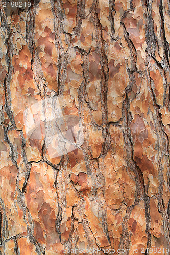 Image of Background
