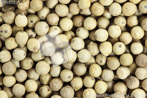 Image of White pepper