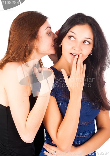 Image of Two gossiping friends