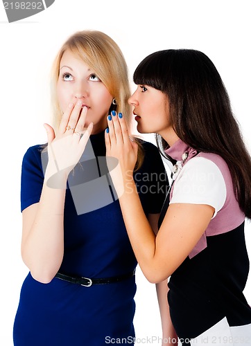 Image of Two gossiping friends