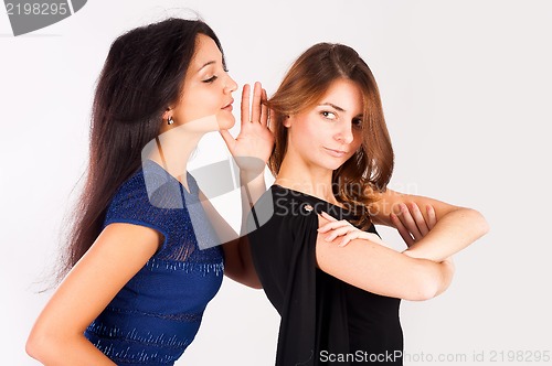 Image of Two gossiping friends