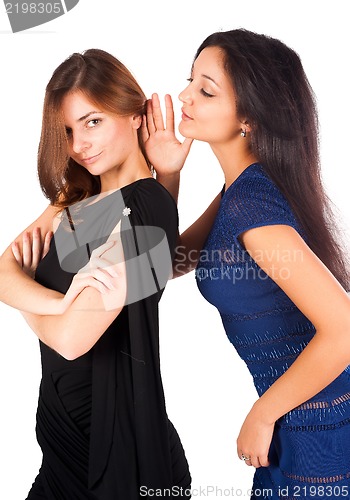 Image of Two gossiping friends