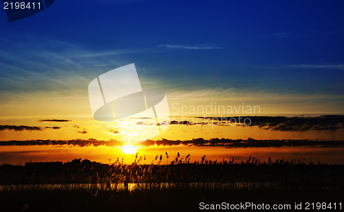 Image of sunset over river with canes