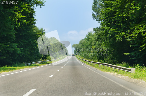 Image of road in wood