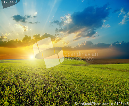 Image of sunset over agricultural green field