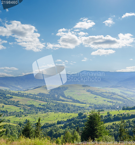 Image of Carpathian mountains in summer