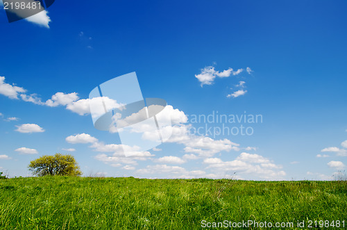 Image of green grass under deep blue sky with clouds