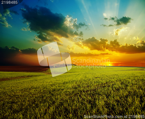 Image of sunset with dramatic sky over agricultural green field