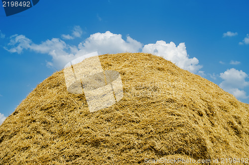 Image of Straw heap under cloudy sky