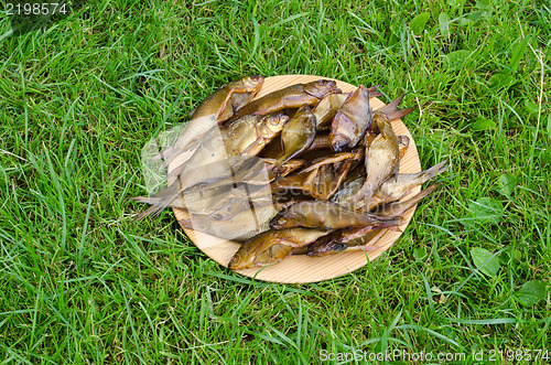 Image of fresh smoked health ecologic fish dish green grass 