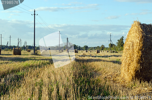 Image of straw bales field electric wire poles autumn sky 