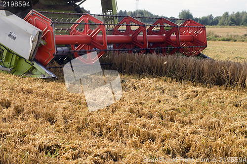 Image of closeup combine harvest wheat agriculture field 