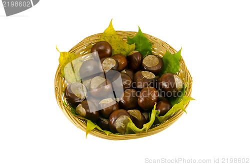 Image of autumn chestnut wicker basket on white background 