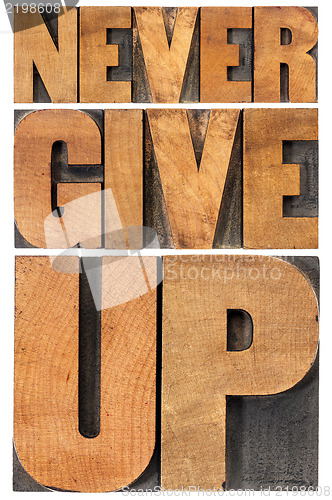 Image of never give up in wood type