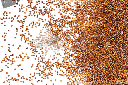 Image of red quinoa grain