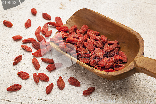 Image of Tibetan goji berry scoop