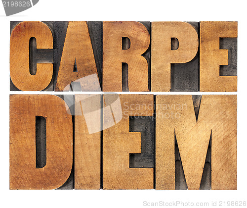 Image of Carpe Diem in wood type