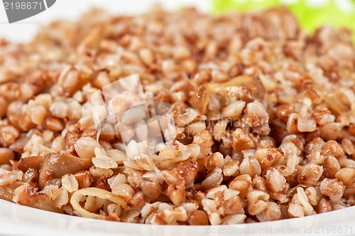 Image of buckwheat