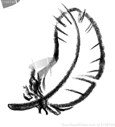 Image of feather icon