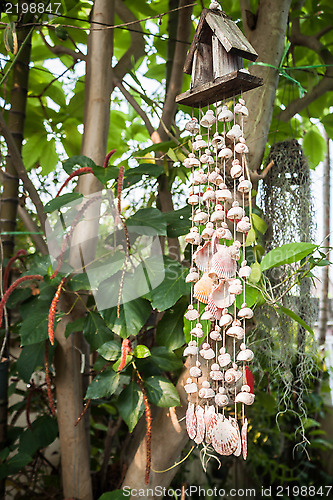 Image of Home garden blinds made by various shell 