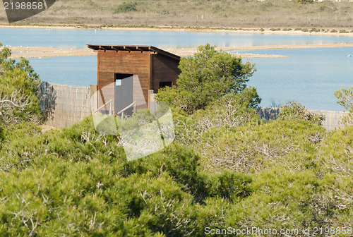 Image of Birdwatching hideout