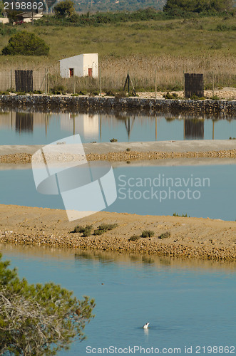 Image of Salt marsh