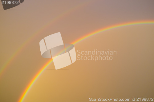 Image of Rainbow