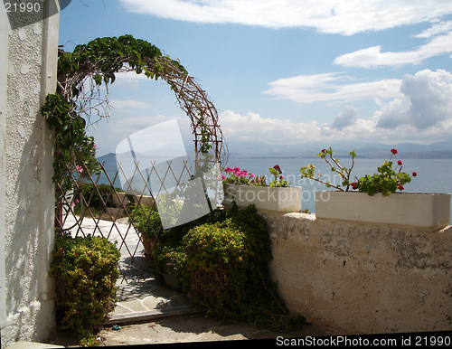 Image of flowers over the sea