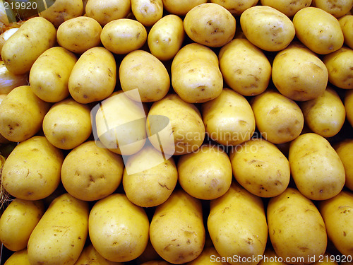 Image of Potato background