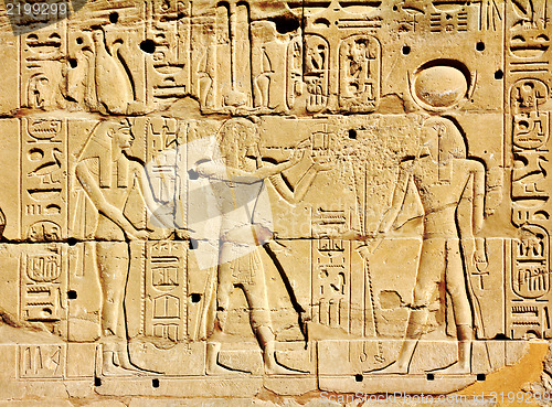 Image of ancient egypt images and hieroglyphics