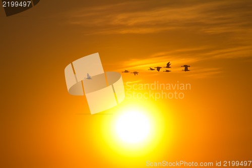 Image of Romantic flight at sunset