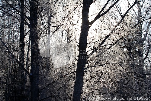 Image of winter sunset