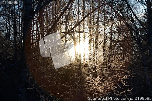 Image of winter sunset